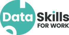 Data Skills for Work